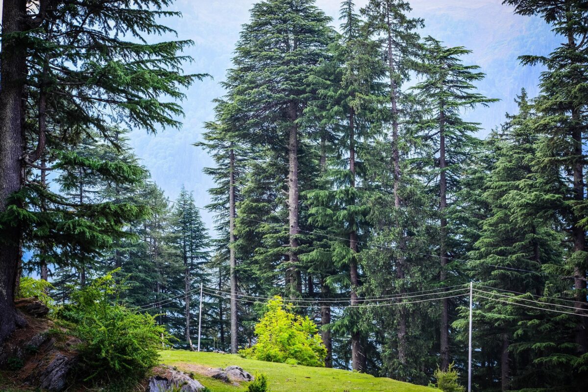 Manalihill
