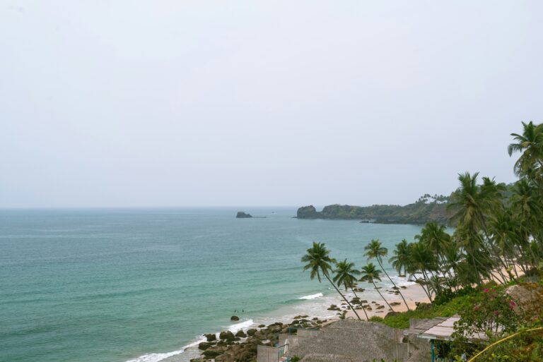 Goa Travel Guide