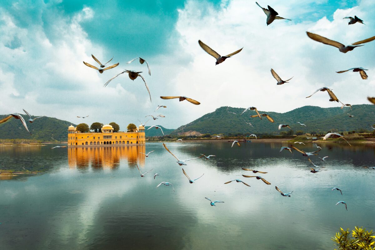 Jaipur - Jaipur