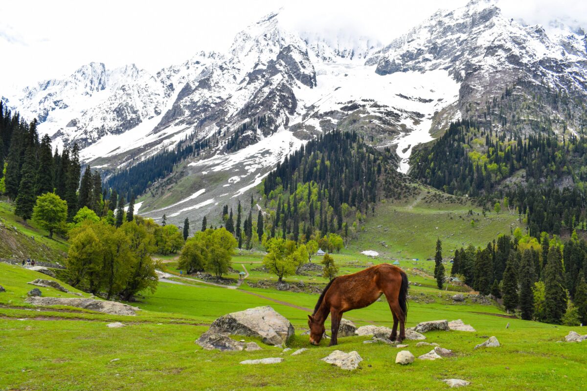 kashmir mountains