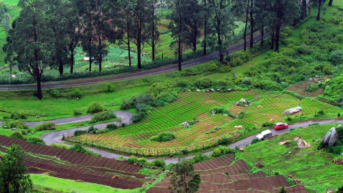 ooty Tamil Nadu India