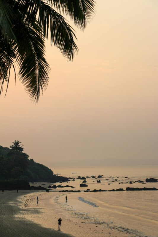 South Goa vs North Goa - South goa vs north goa