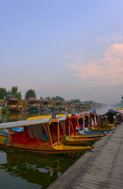 srinagar j & k