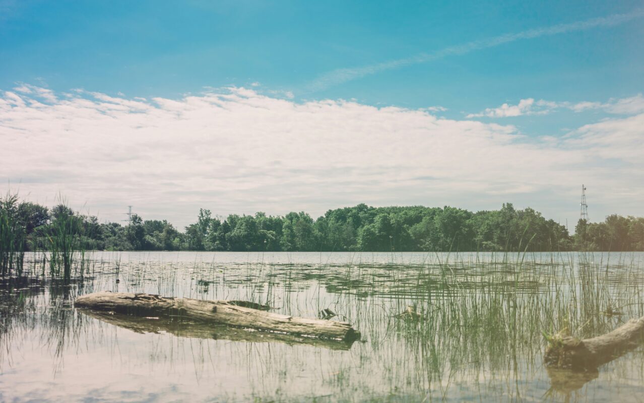 Sukhna Lake Chandigarh - Sukhna lake chandigarh