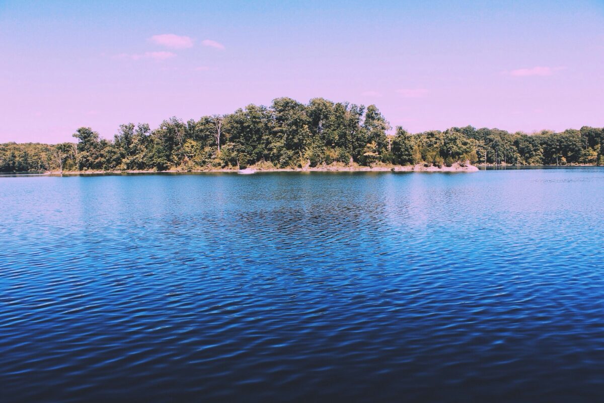 Sukhna Lake Chandigarh - Sukhna lake chandigarh